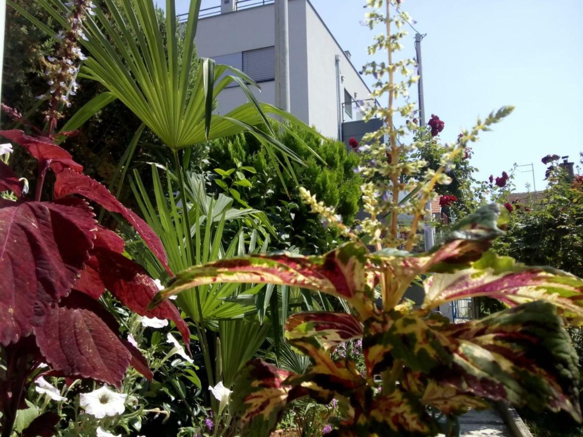 Apartma Teuta