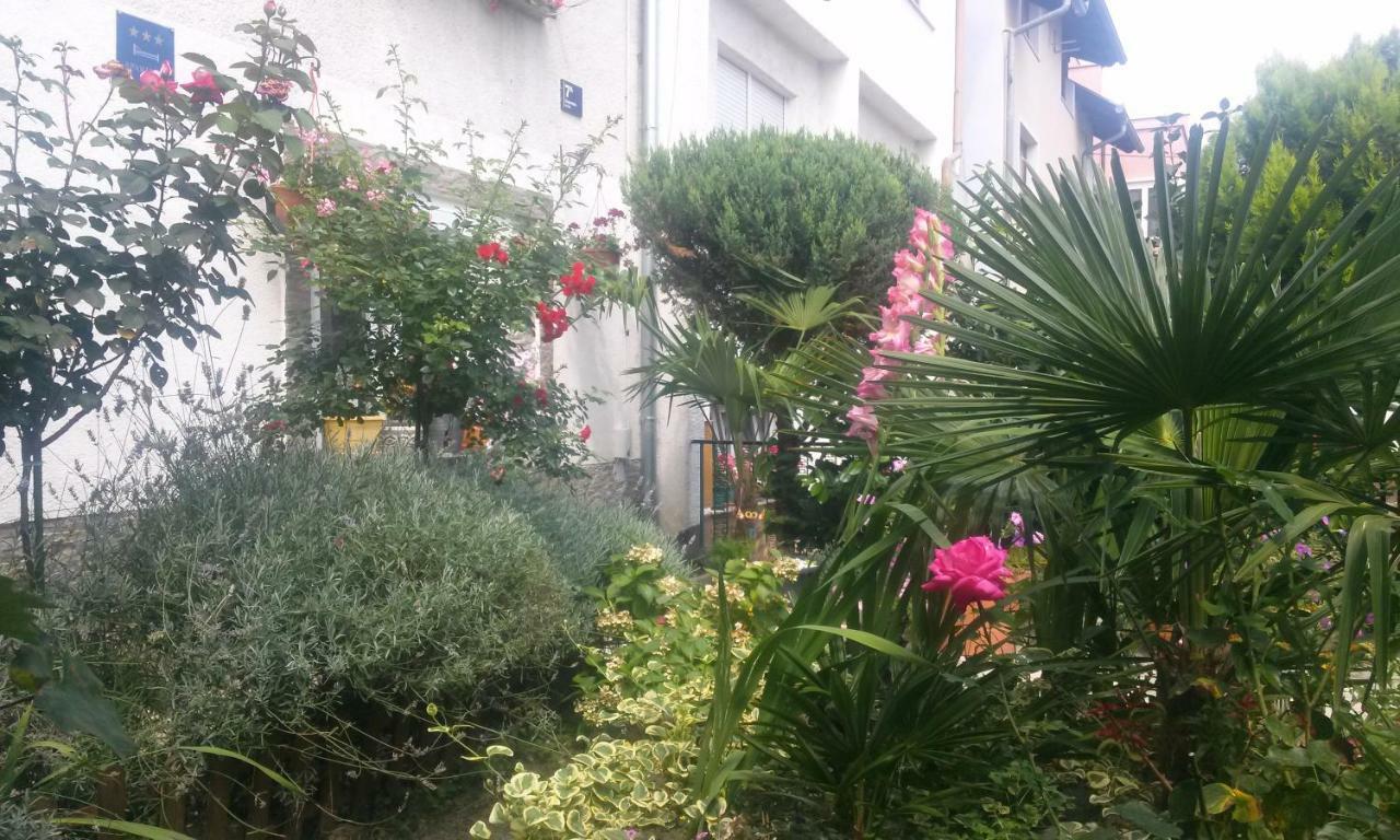 Apartma Teuta *